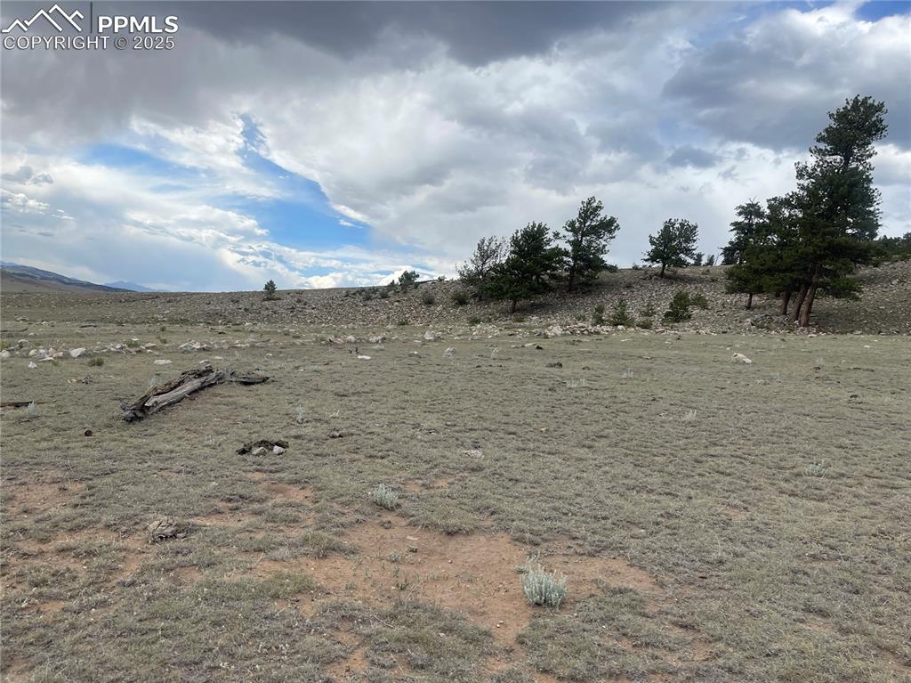 Image 14 of 22: Yard