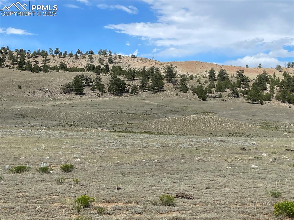 Image 15 of 22: View