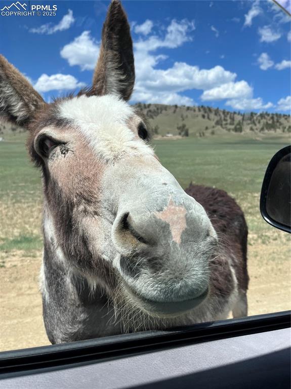 Image 22 of 22: Other