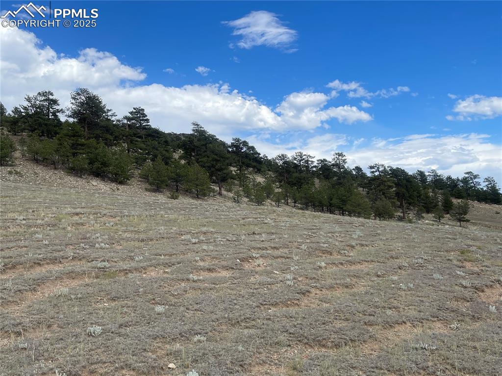 Image 3 of 22: Other