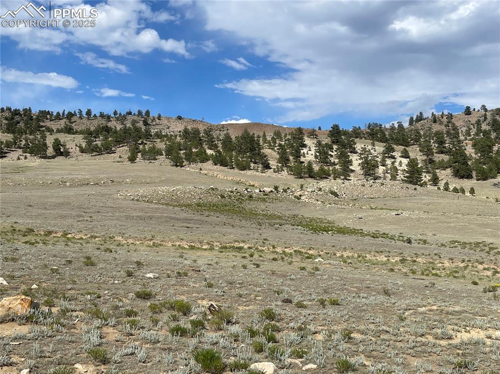 Image 4 of 22: Other