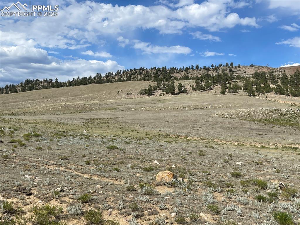 Image 5 of 22: Other