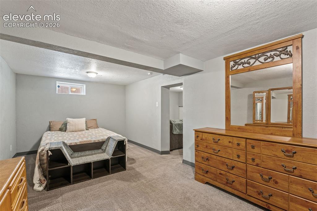 Image 34 of 50: Carpeted room with light gray walls, a flush-mount ceiling light, and a sma