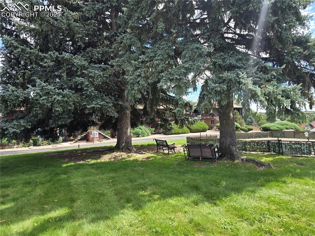 Image 15 of 18: View of yard