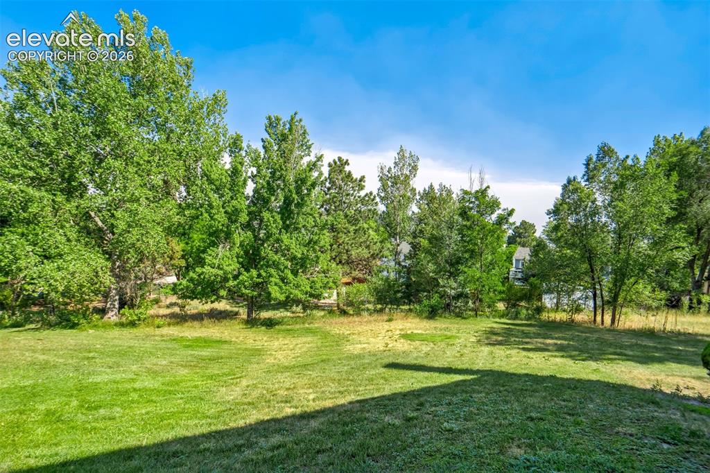 Image 49 of 50: Yard