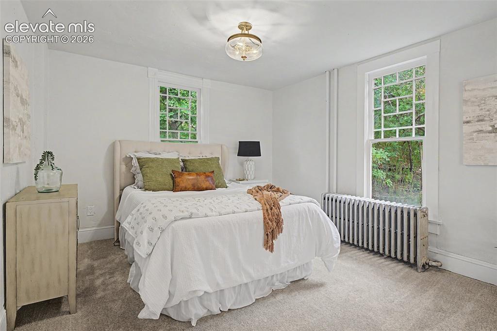 Image 17 of 38: Carpeted room featuring two multi-pane windows, a central flush-mount light
