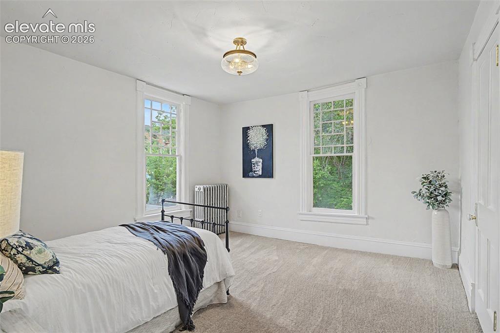 Image 18 of 38: Carpeted interior space featuring two windows with white trim, a ceiling-mo
