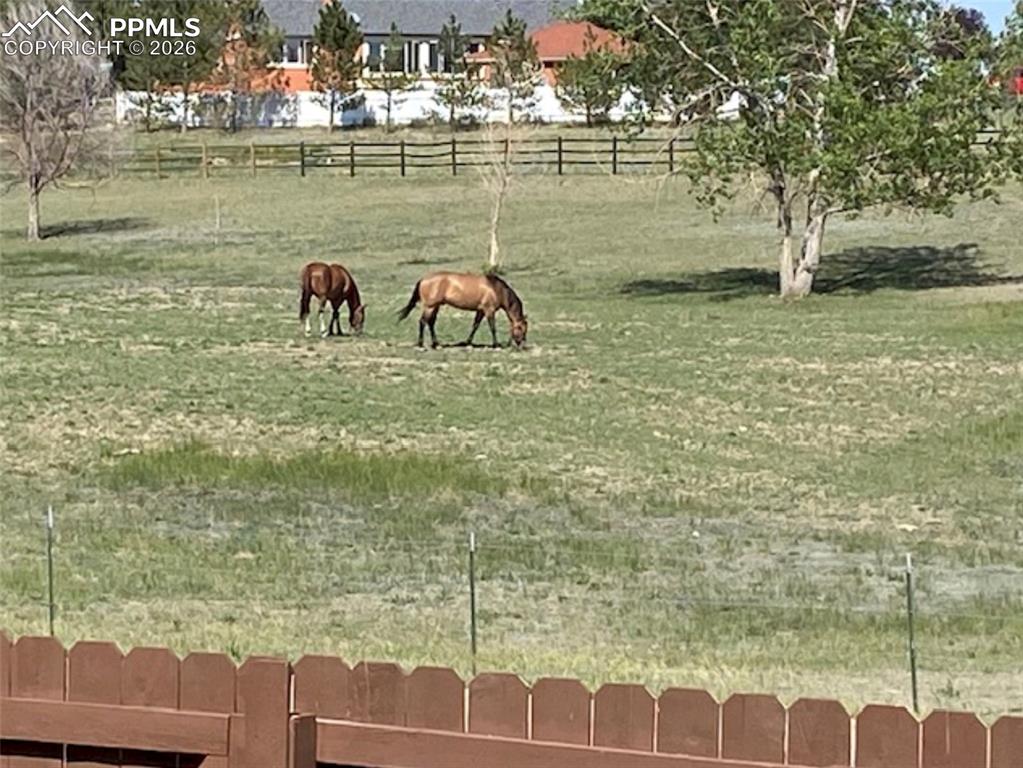 Image 44 of 48: Yard