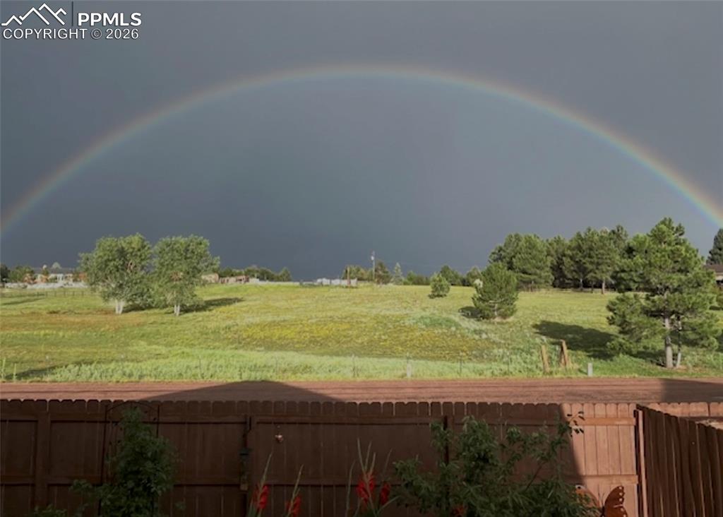 Image 45 of 48: Other