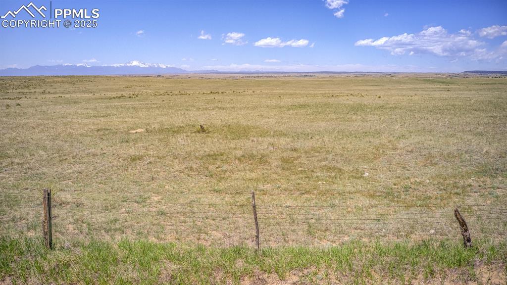 Image 9 of 14: Other