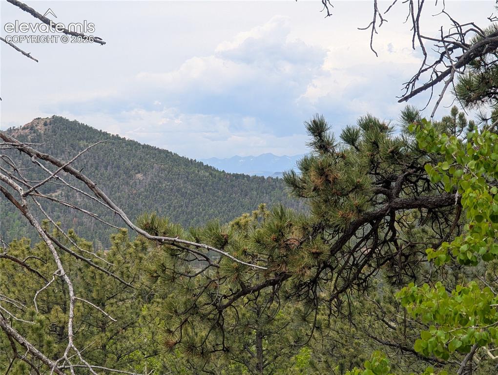 Image 10 of 23: View