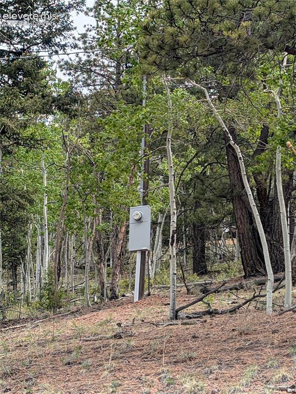 Image 13 of 23: Electric meter and pole onsite