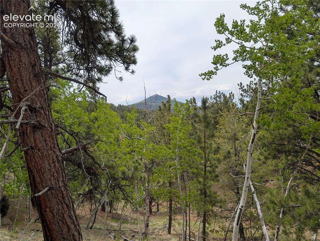 Image 14 of 23: Other