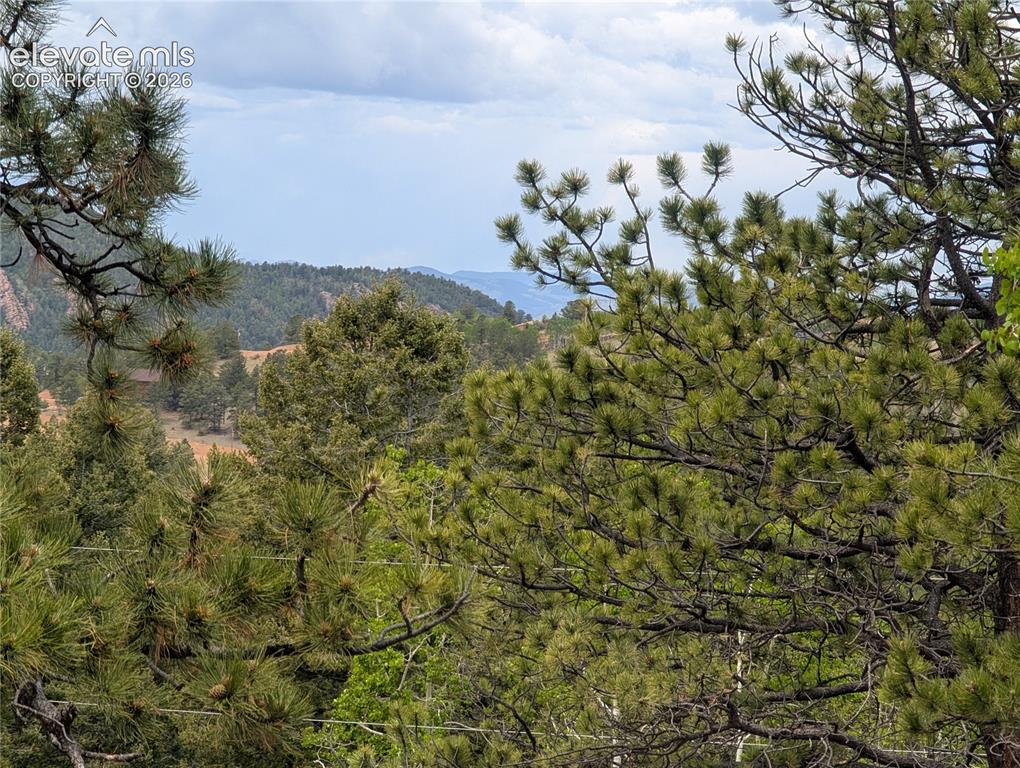 Image 16 of 23: View