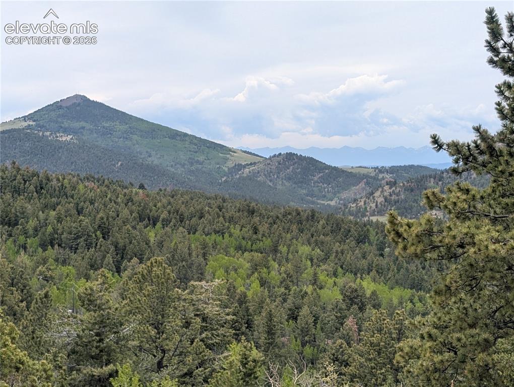 Image 2 of 23: View