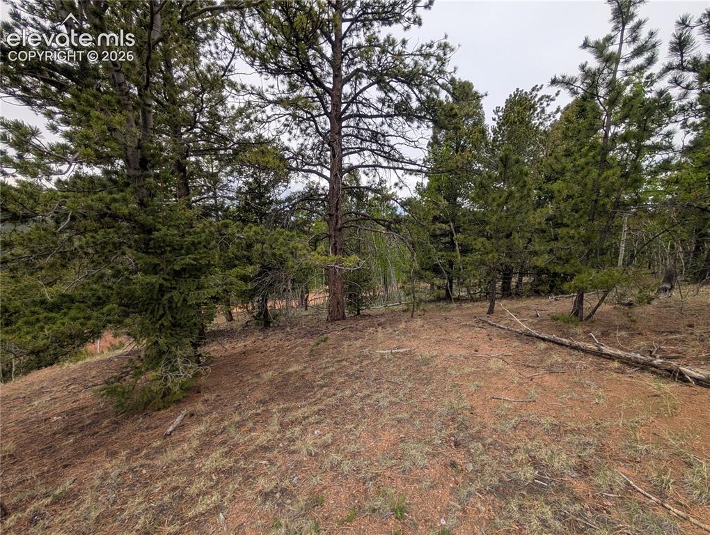 Image 20 of 23: Other