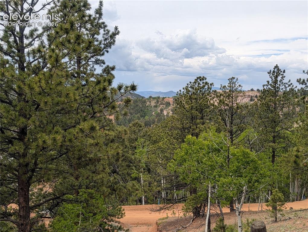 Image 8 of 23: View