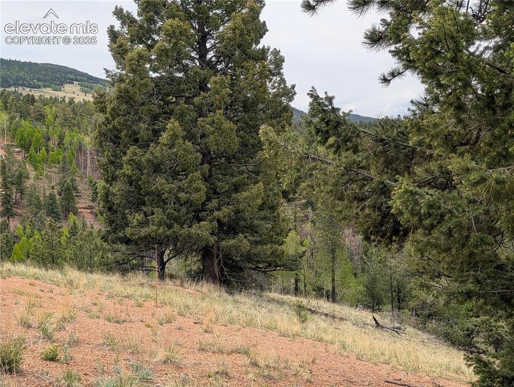 Image 9 of 23: Other