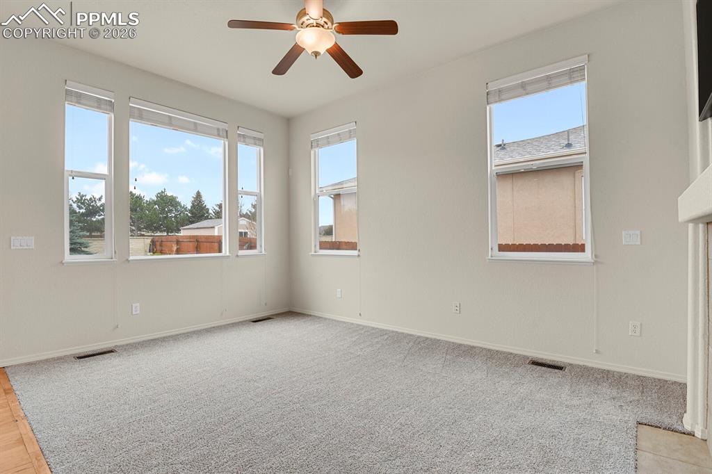 Image 11 of 36: Other