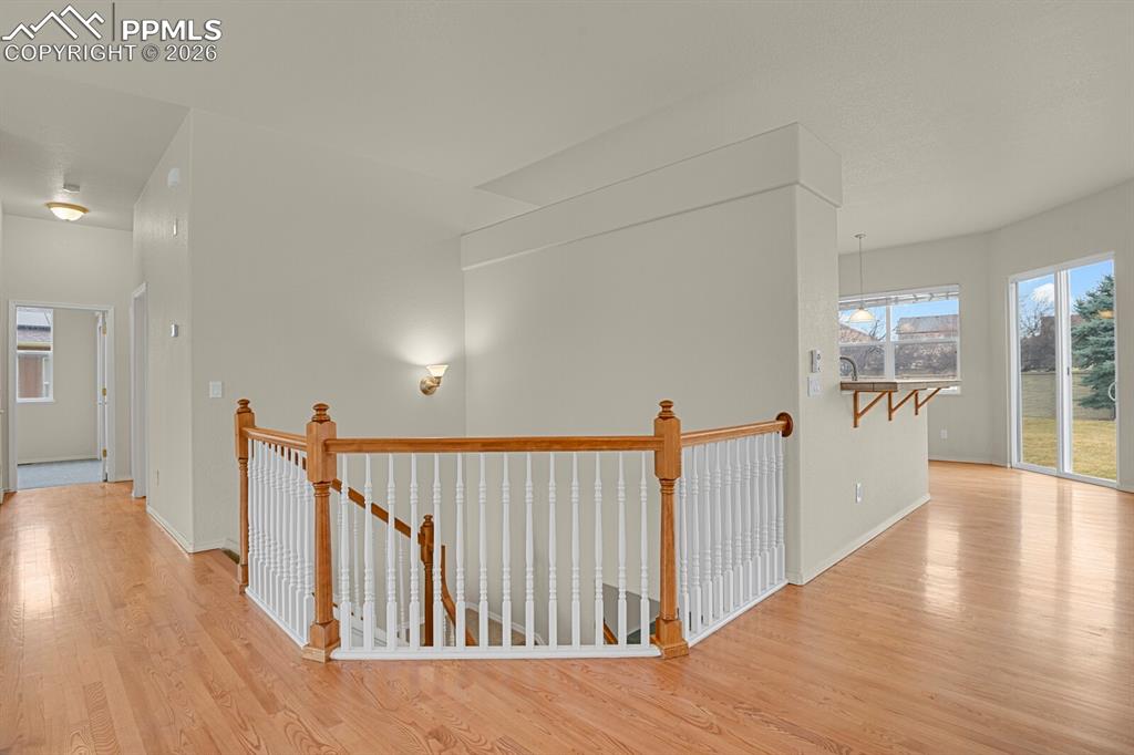 Image 3 of 36: Other