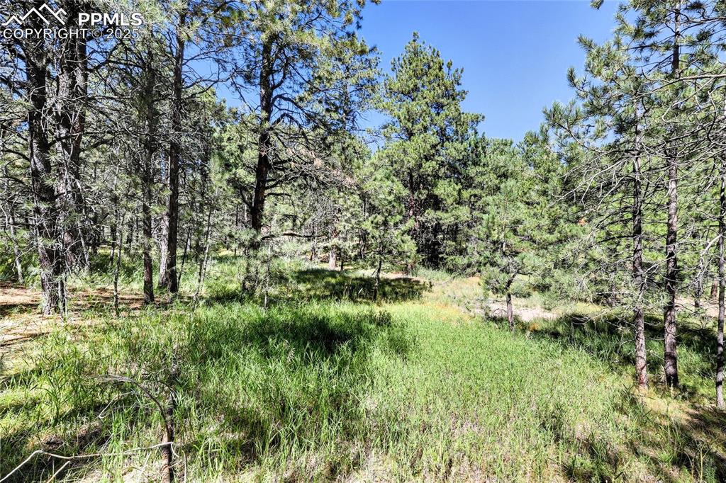 Image 5 of 10: Other