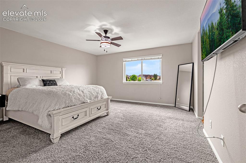 Image 18 of 49: Spacious master bed room featuring neutral carpeting and light-colored wall