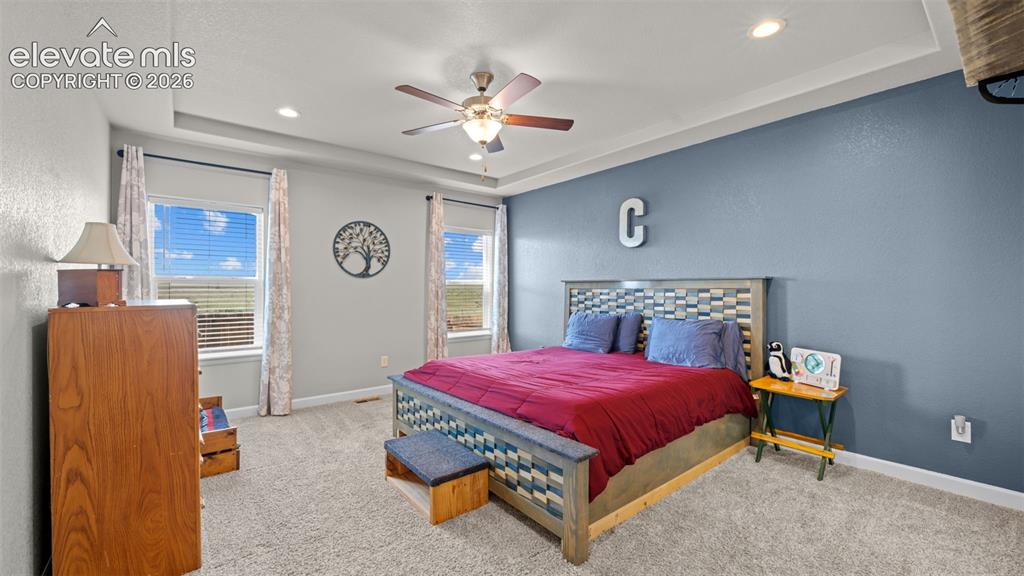 Image 16 of 39: Recessed lighting illuminates a room featuring soft carpeting and a tray ce
