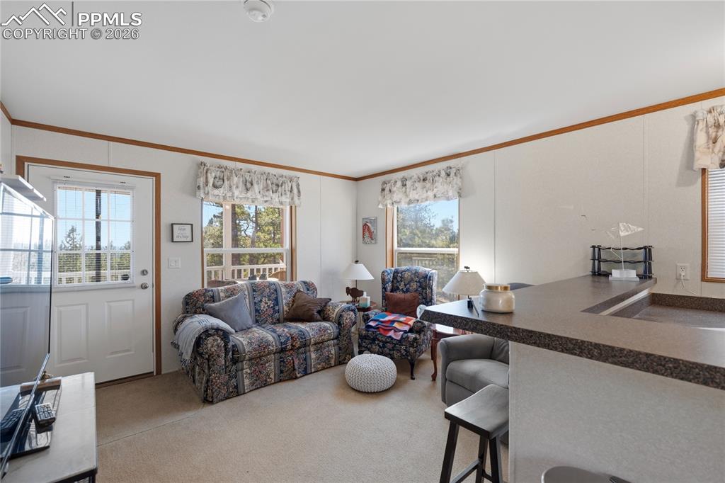 Image 4 of 15: Living Room