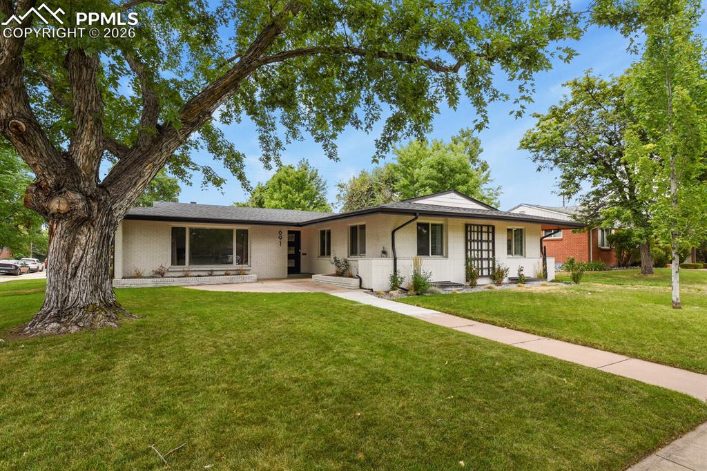 Image 2 of 48: White brick exterior with a dark trim roofline