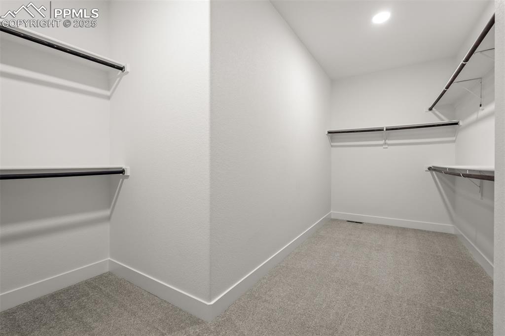 Image 30 of 46: Walk in closet with carpet floors