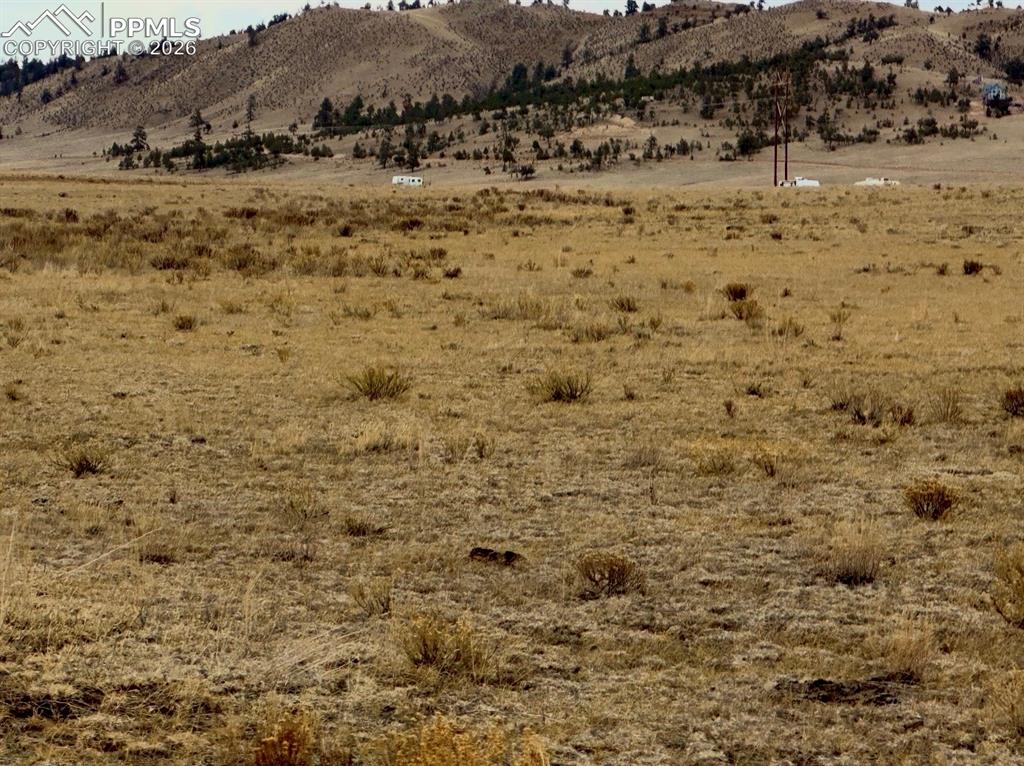 Image 13 of 14: View