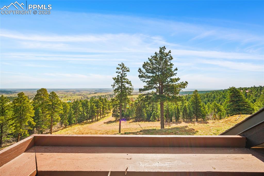 Image 31 of 50: View from deck overlooking curved driveway