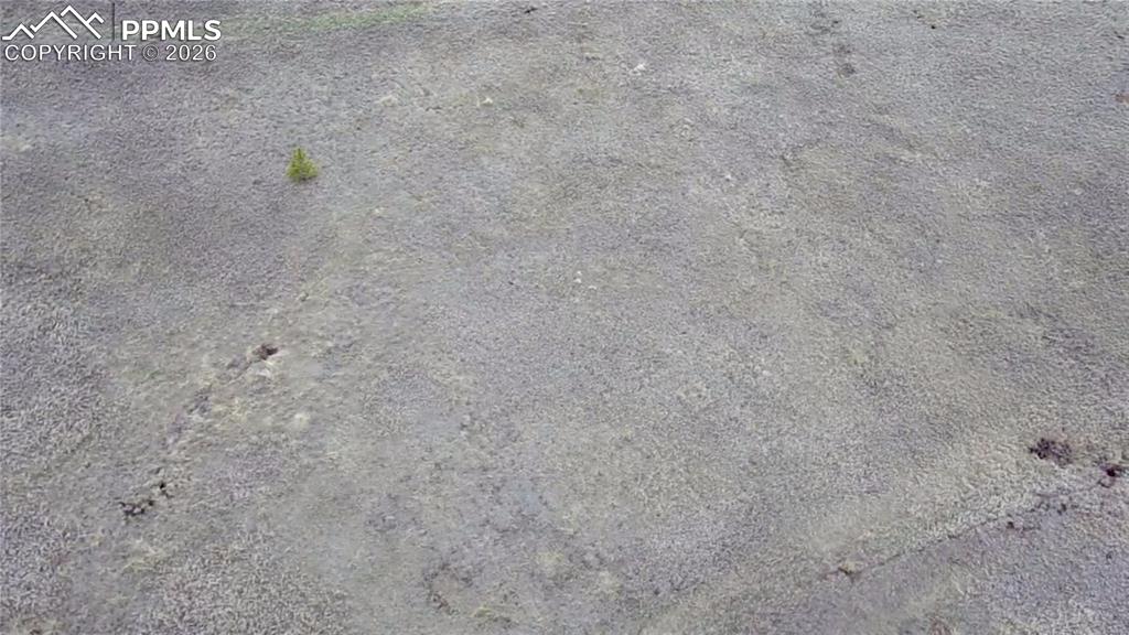 Image 7 of 11: Community