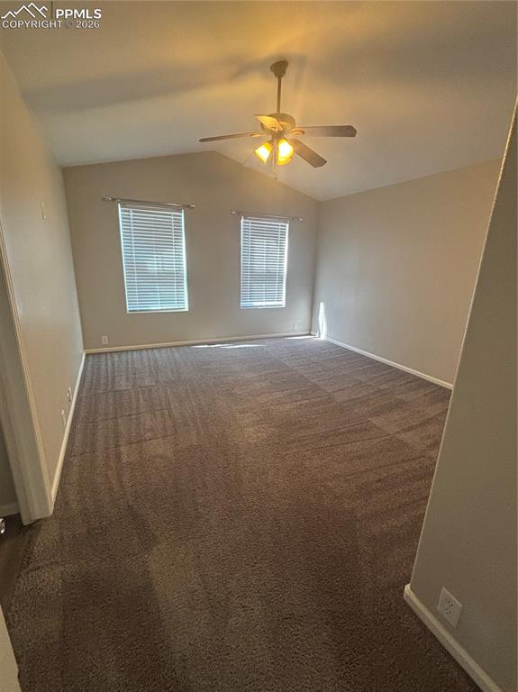 Image 19 of 24: Primary