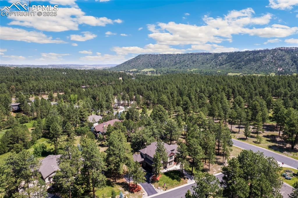Image 7 of 42: Aerial View