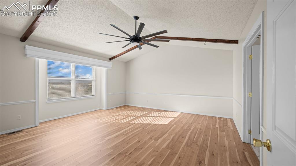 Image 19 of 42: Primary 