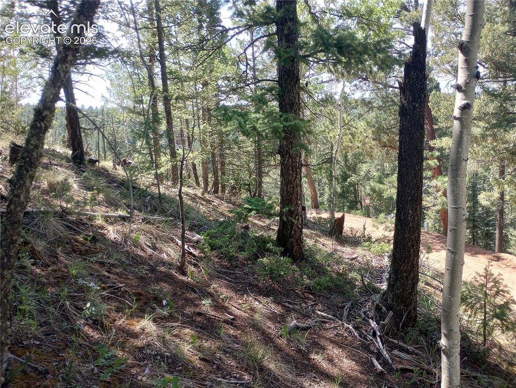 Image 8 of 9: Other