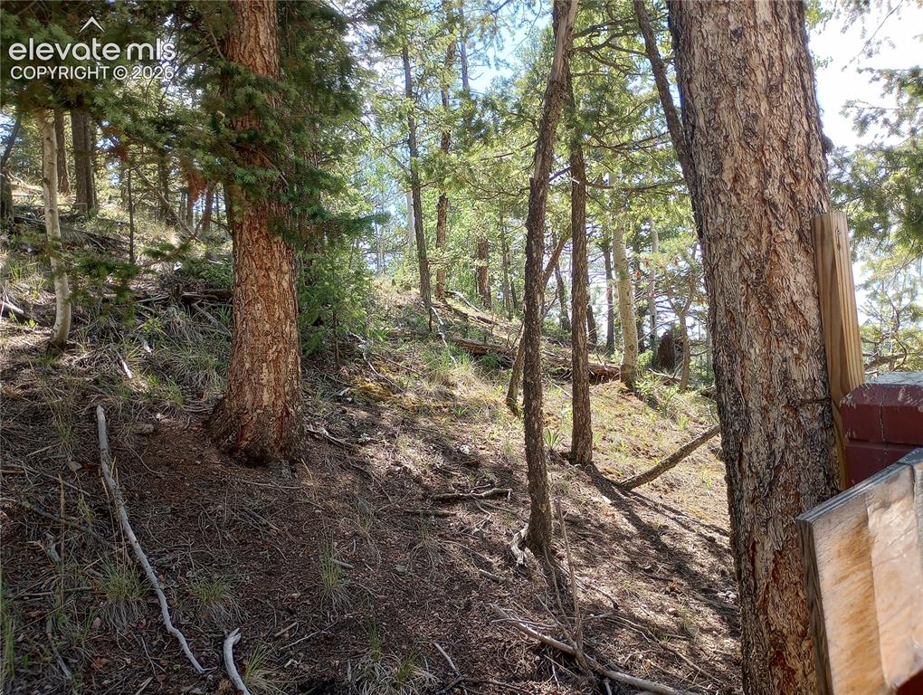 Image 9 of 9: Other
