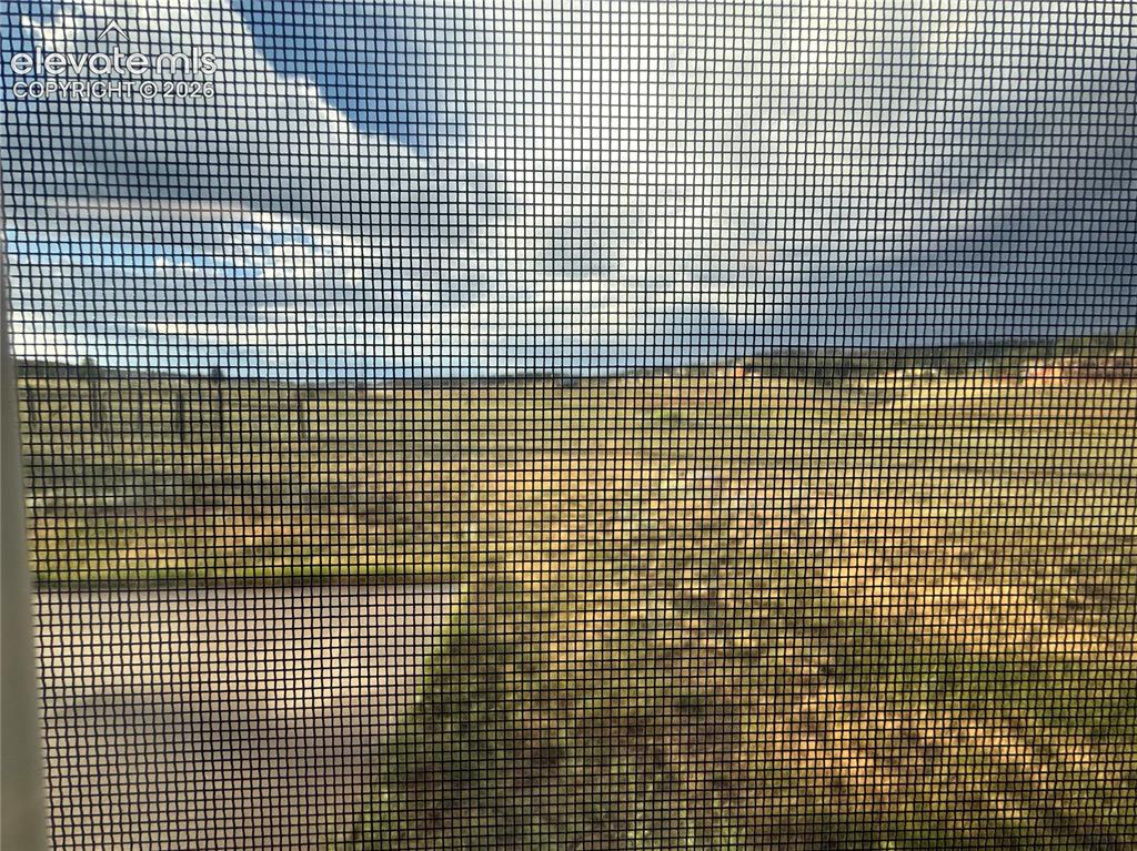 Image 15 of 30: back yard