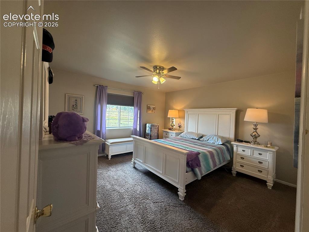 Image 25 of 30: primary bedroom is large with a bathroom off of it