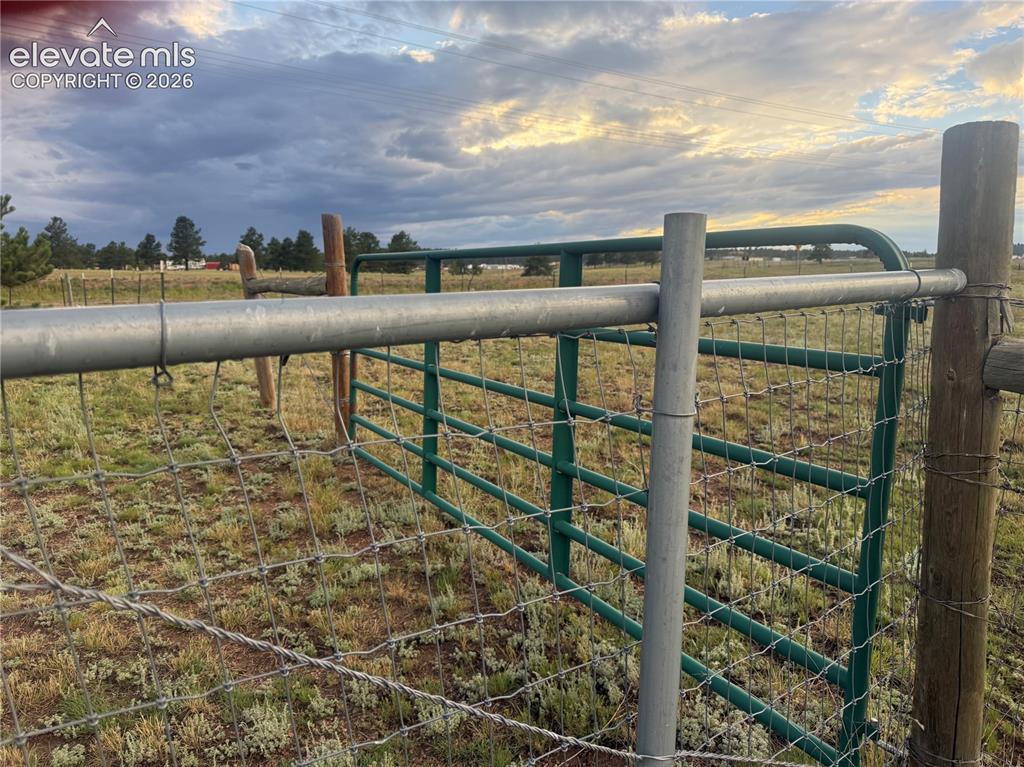 Image 9 of 30: gate in back yard to fenced area in the back yard