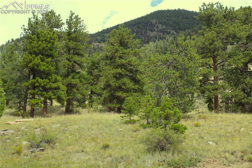 Image 4 of 13: Other