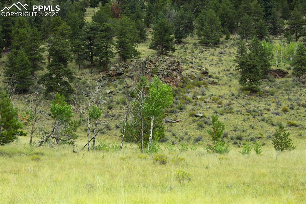 Image 6 of 13: Other