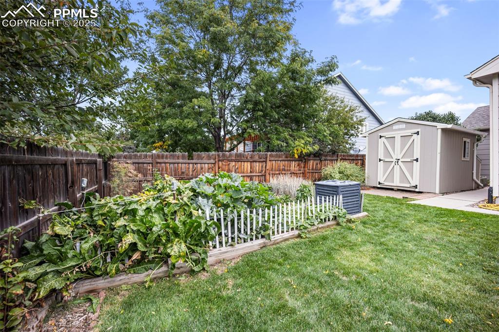 Image 32 of 43: Yard