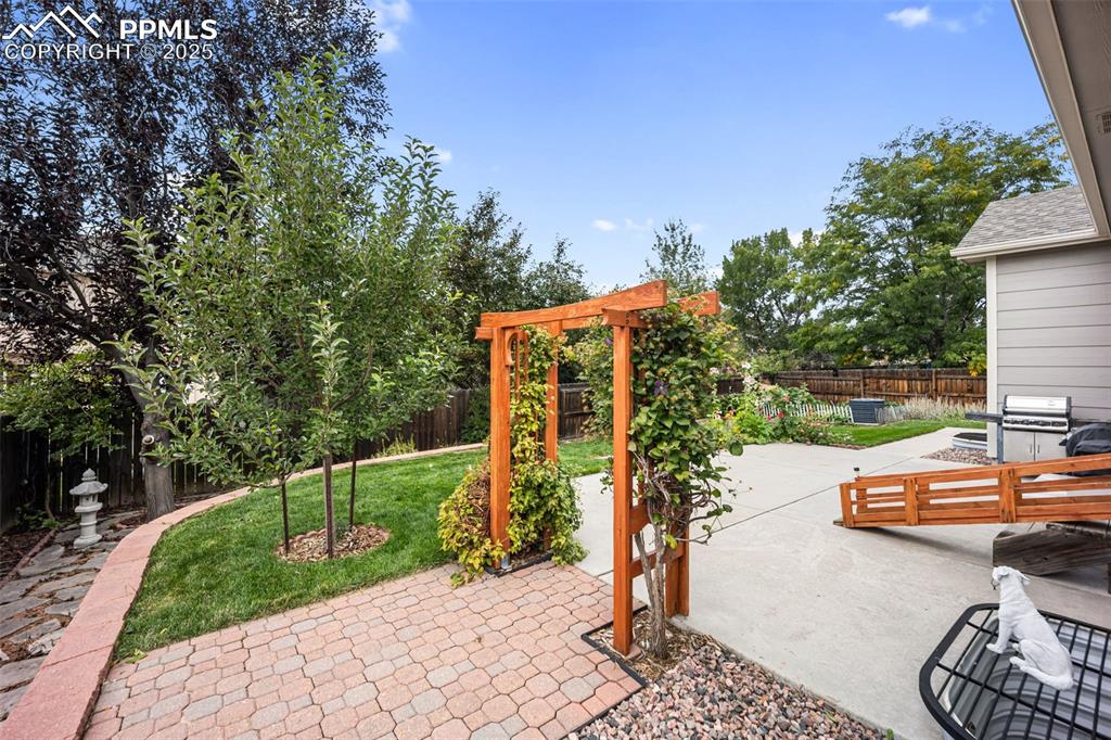 Image 33 of 43: Patio