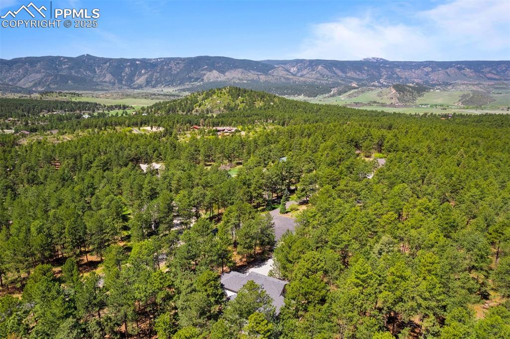 Image 29 of 30: Aerial view of home nestled in tall trees.