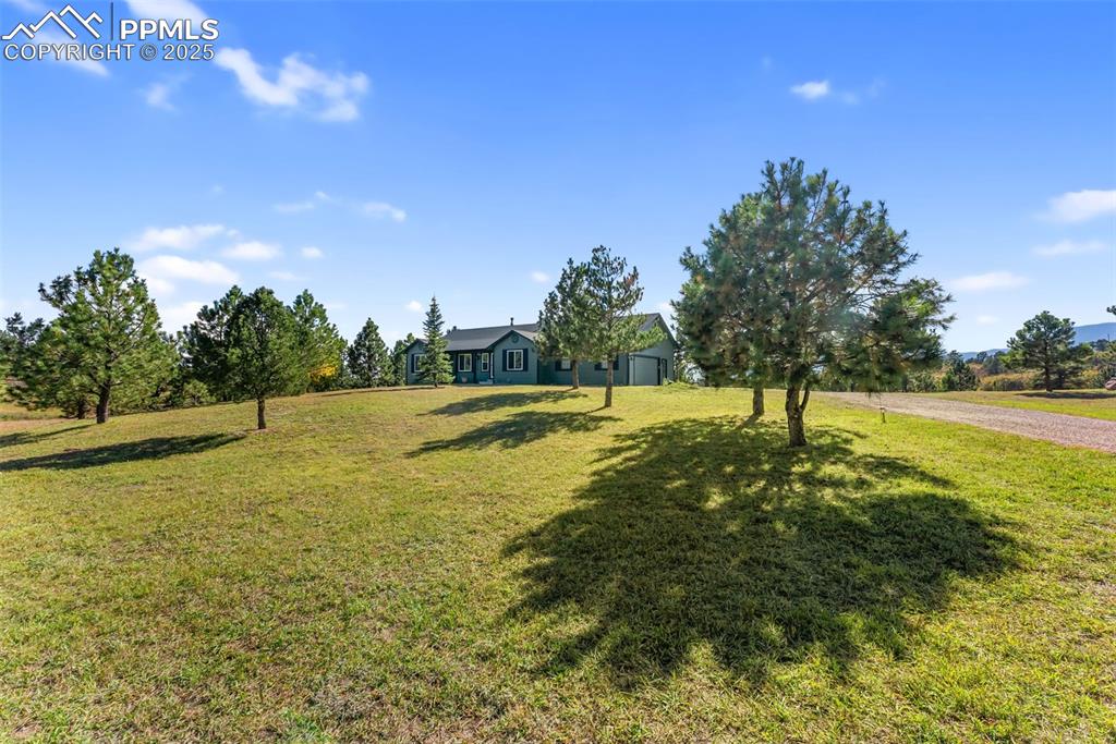 Image 42 of 50: Yard