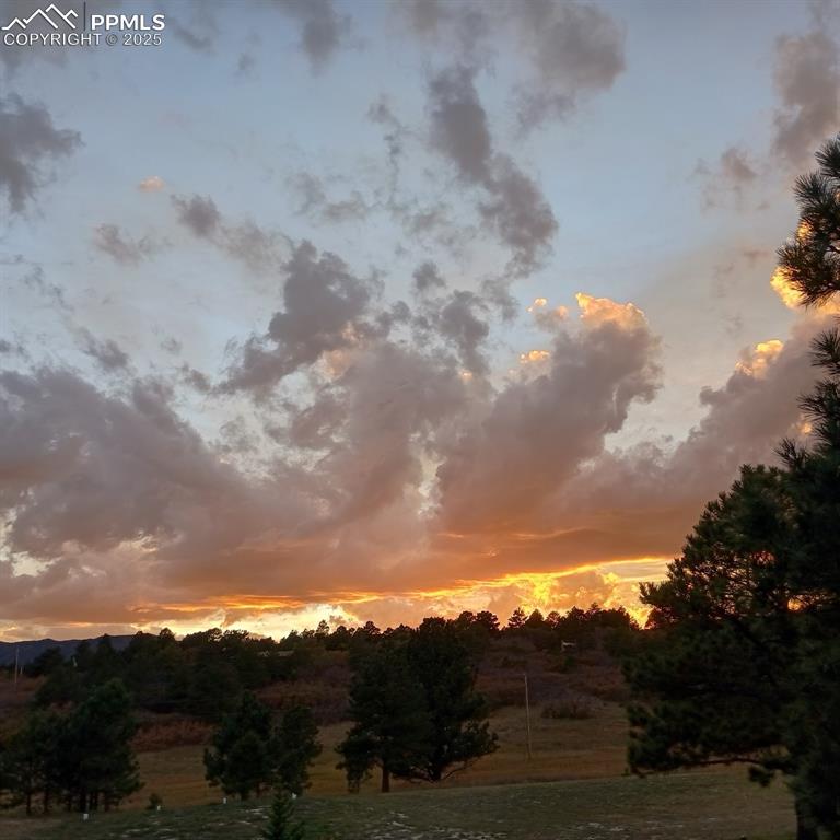 Image 44 of 50: Other