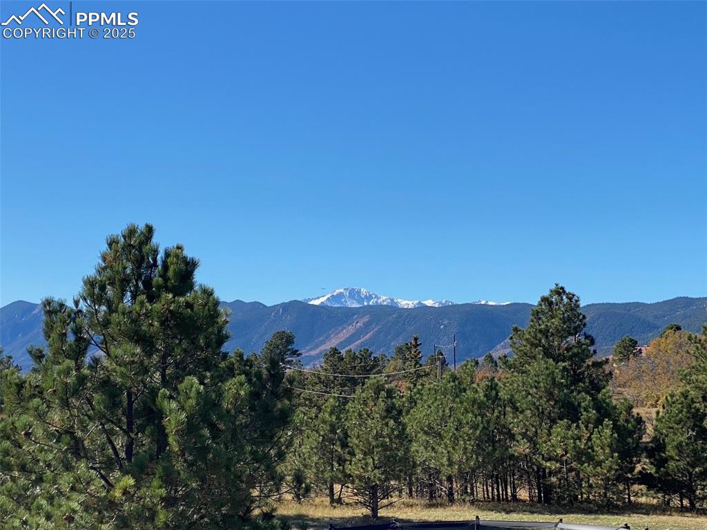 Image 45 of 50: View