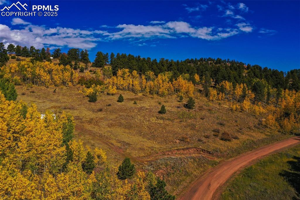 Image 10 of 50: Other